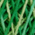 VERDE LIMÃO