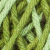 VERDE MUSGO
