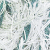 VERDE MUSGO